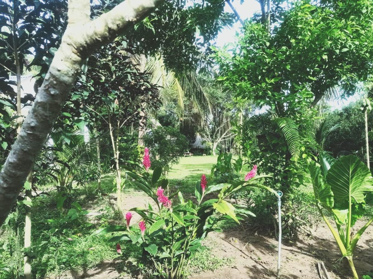 Happy Farm Tien Giang Homestay My Tho Exteriér fotografie